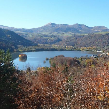 Les Chenets Villa Chambon-sur-Lac Luaran gambar